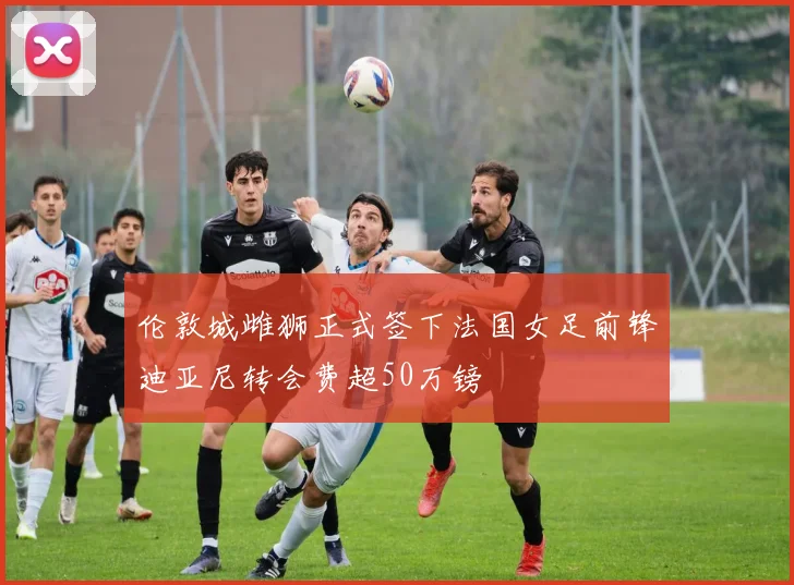 伦敦城雌狮正式签下法国女足前锋迪亚尼转会费超50万镑