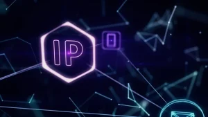 آی پی چیست ؟ کاربرد انواع IP